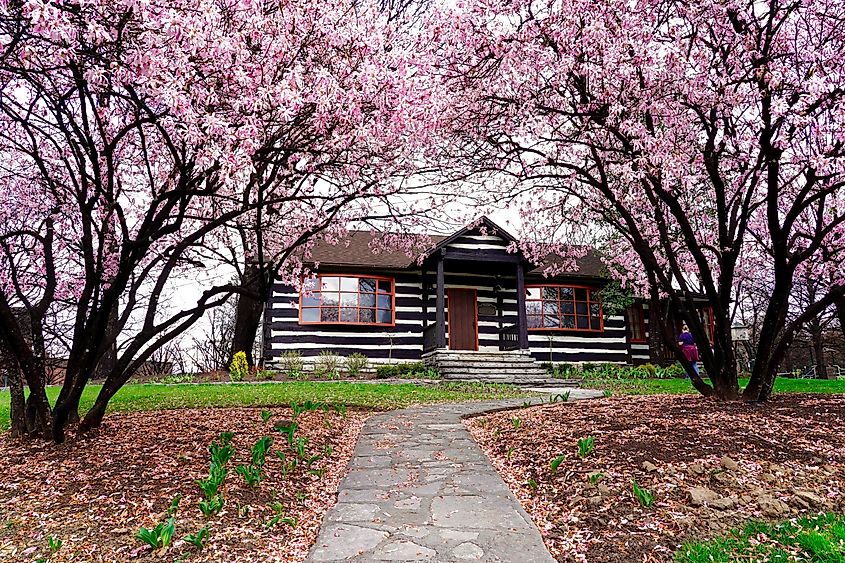 Spring blossoms at the historic Buffalo Trace Distillery on Kentucky's famed Bourbon Trail