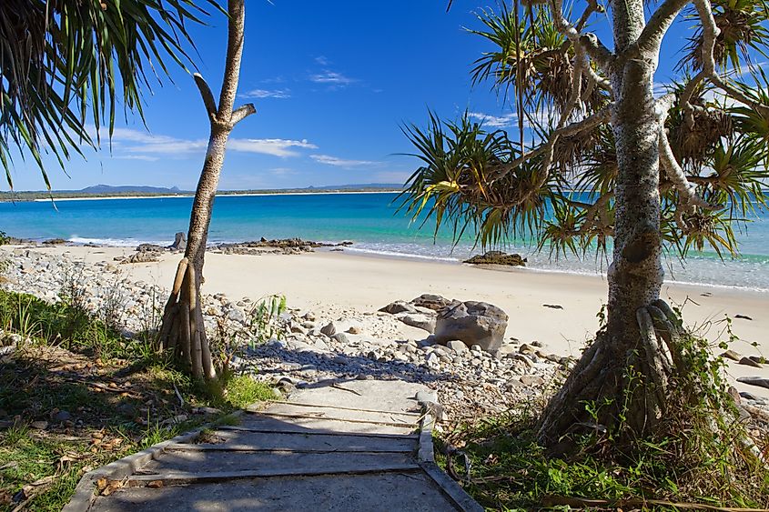 View of the beach at Noosa National Park in Noosa Heads, Queensland.