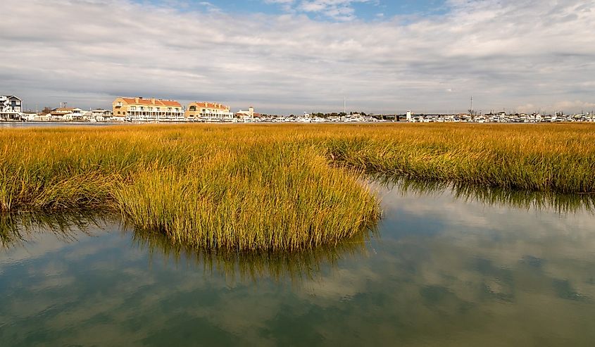 Coast of Cape May, New Jersey.