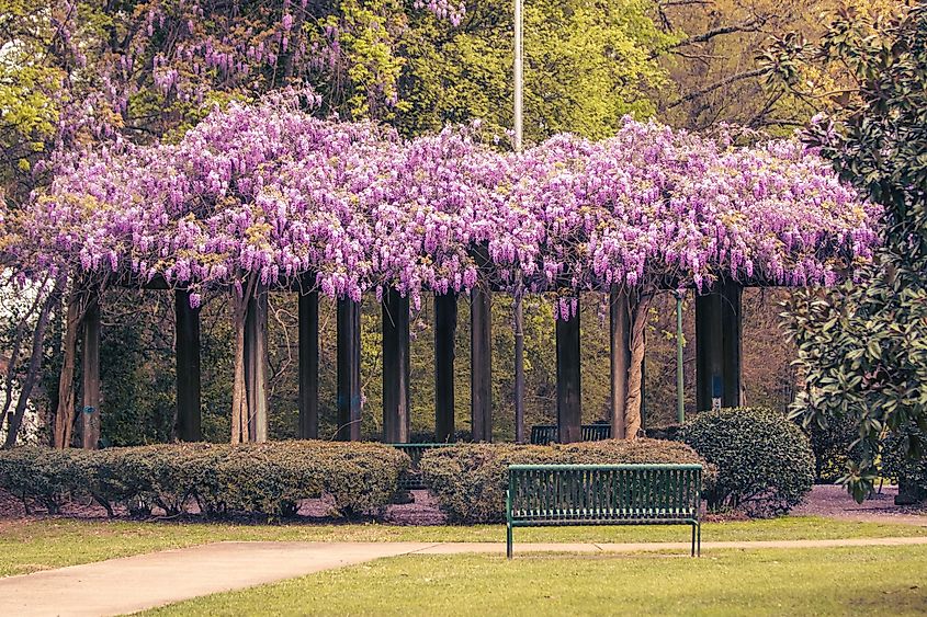 The Arbor of Memories in West Point, Mississippi