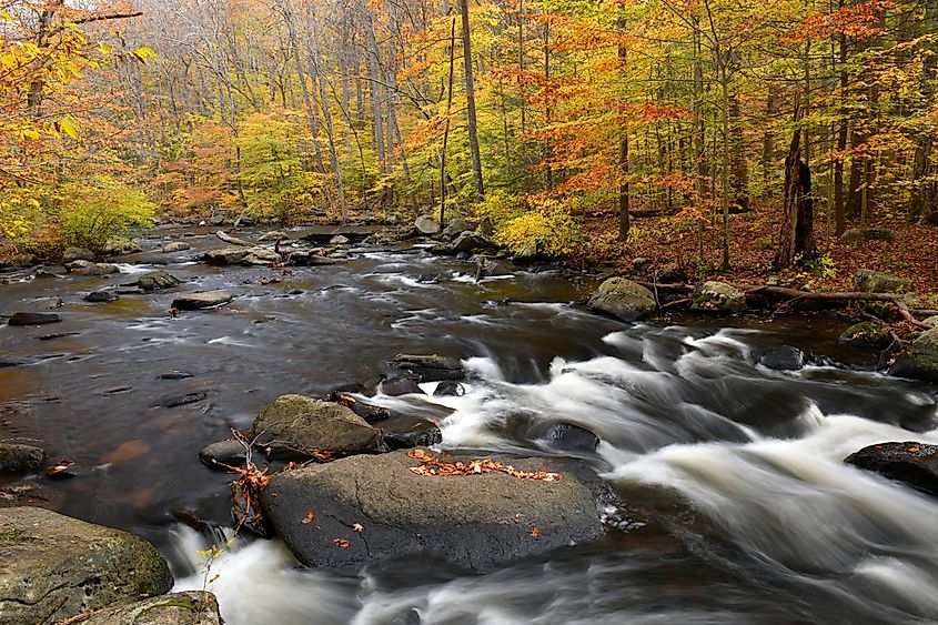 Autumn, Hacklebarney State Park, NJ.