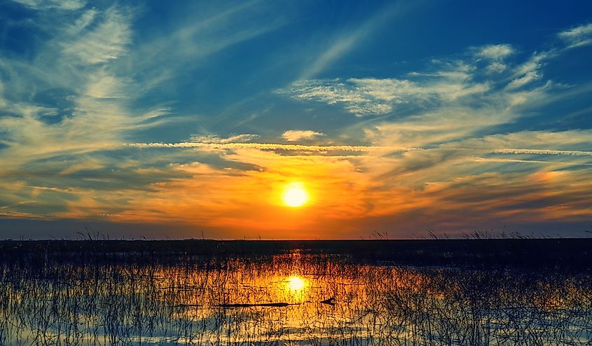 Sunset over Lake Okeechobee in Florida, with marshy grass growing in the shallow waters.