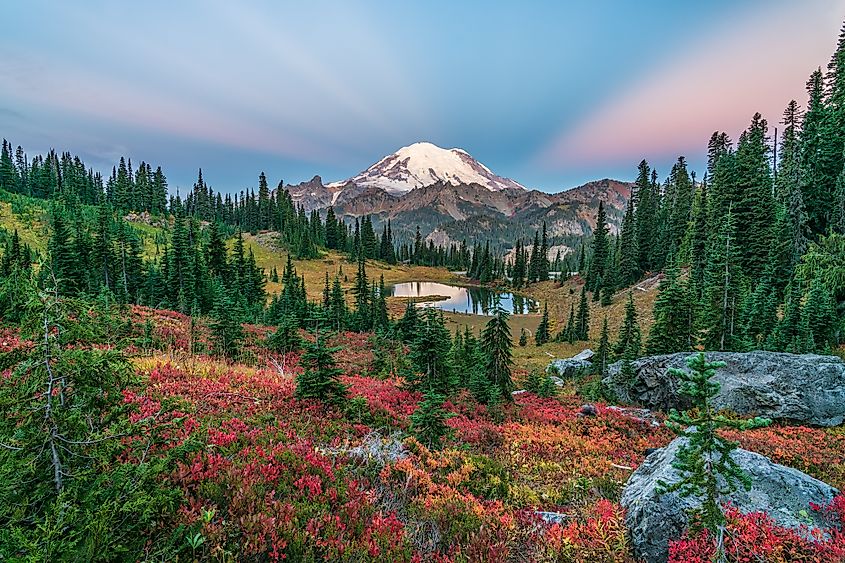 Fall colors in Mount Rainier National Park, Washington.