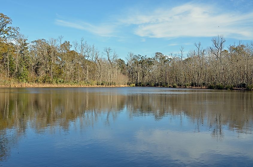 Palmetto Island State Park