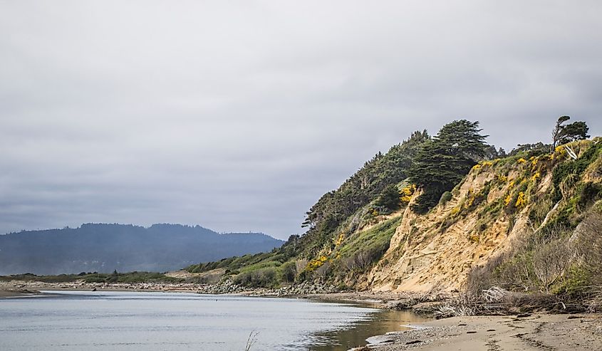 Clam Beach in McKinleyville, California.