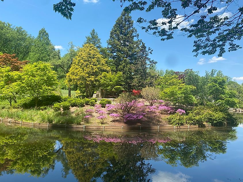 Brookside Garden in Maryland during the summer
