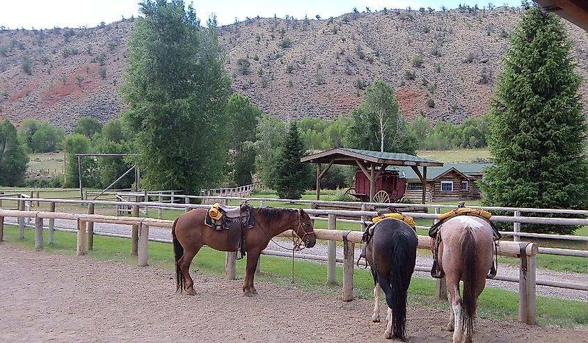 CM Ranch in Dubois, Wyoming.