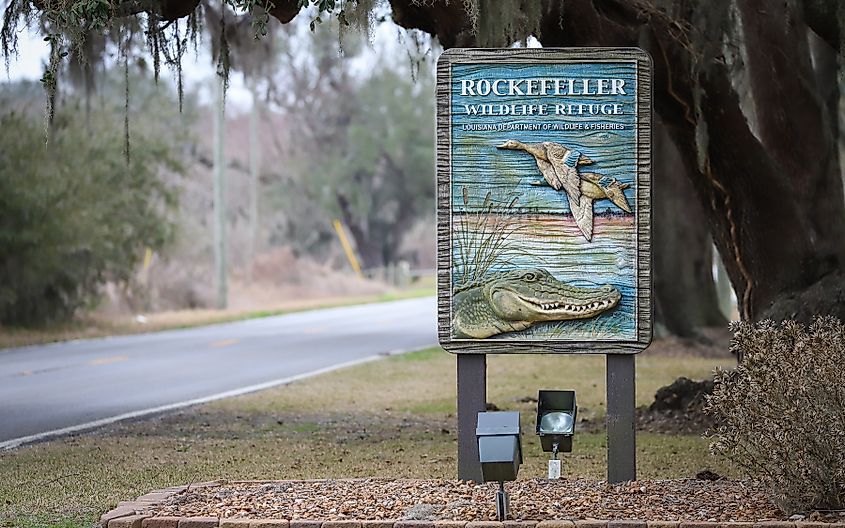 Rockefeller Wildlife Refuge, Louisiana