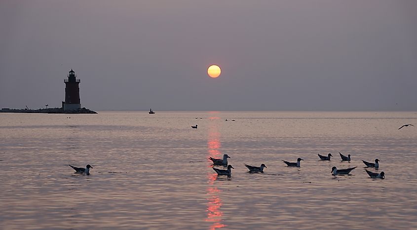 Cape Henlopen State Park in Delaware.