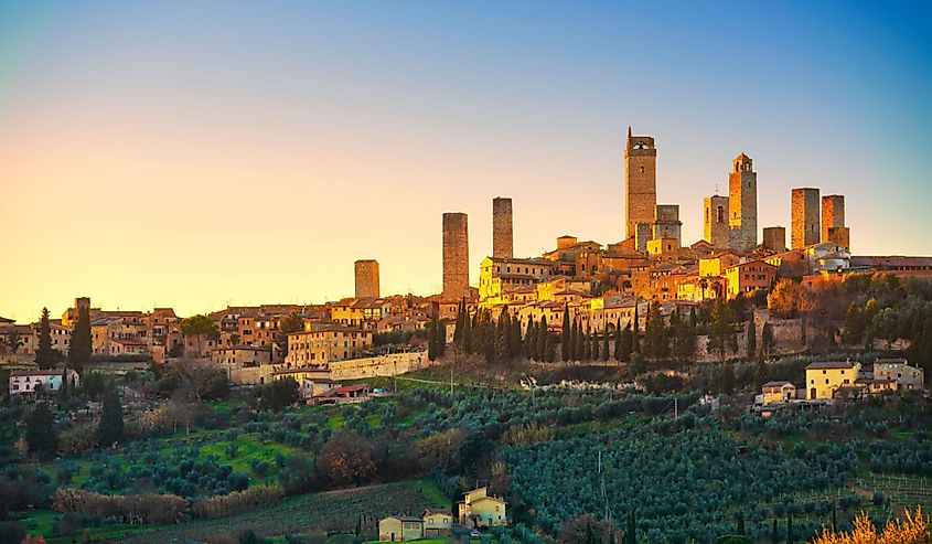 San Gimignano town skyline and medieval towers sunset. Italian olive trees in foreground. 