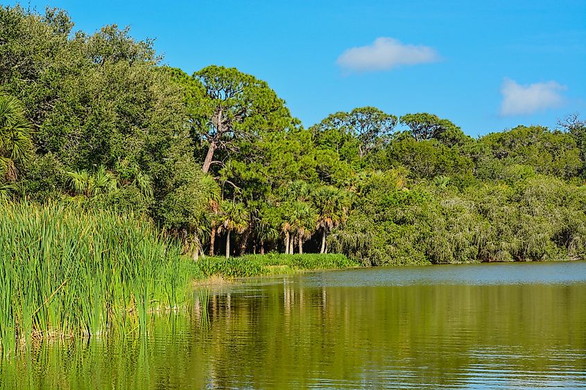 Lake Seminole, Florida