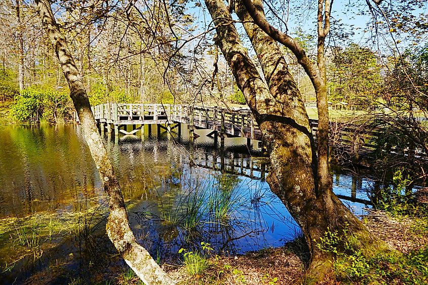 Town Creek Campground on the Tombigbee River in Mississippi.