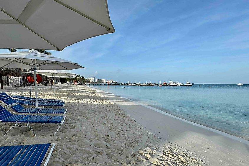 Image Credit Bryan Ddearsley