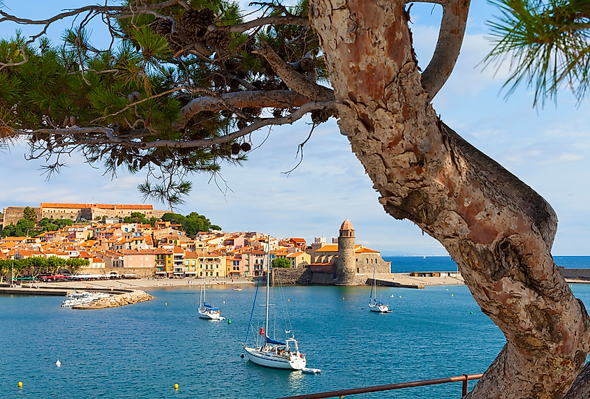 Boats in Collioure, France.