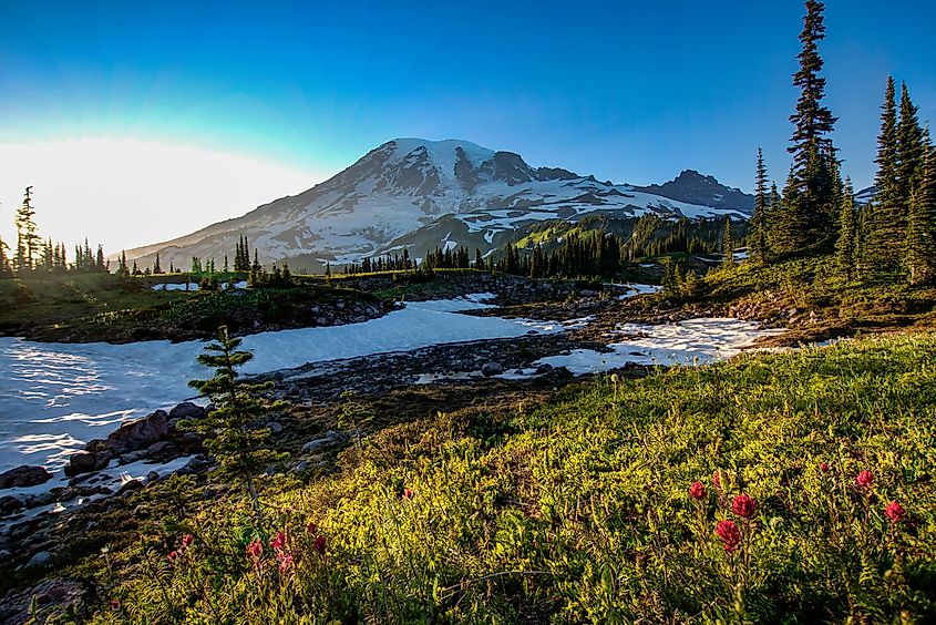 A clear sight of Mount Rainier during a clear sunset atop Mazama Ridge. 