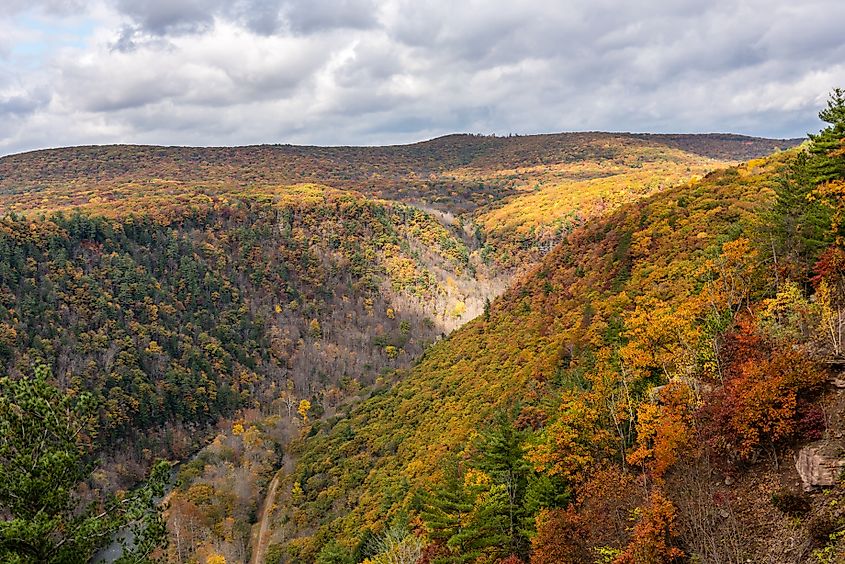 Grand Canyon of Pennsylvania