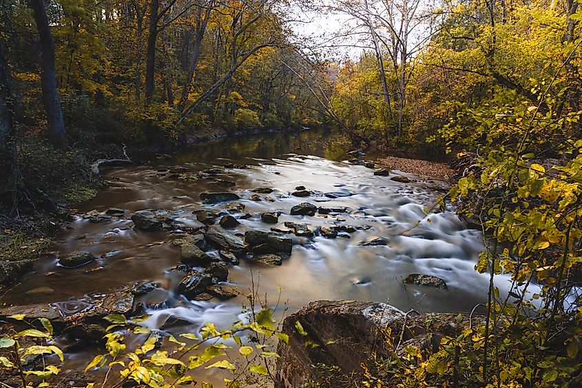 A scenic view of a river flowing in the forest in White Clay Creek State Park, Newark, Delaware.