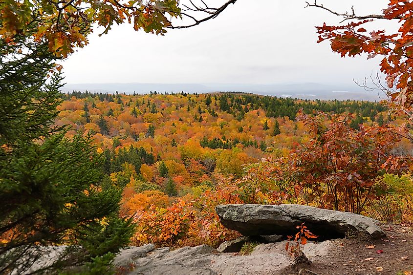 Autumn view in Mount Greylock State Reservation