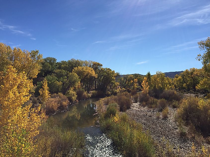 View looking south along the Carson River from Nevada State Route 822 (Dayton Valley Road) in Dayton, Nevada.