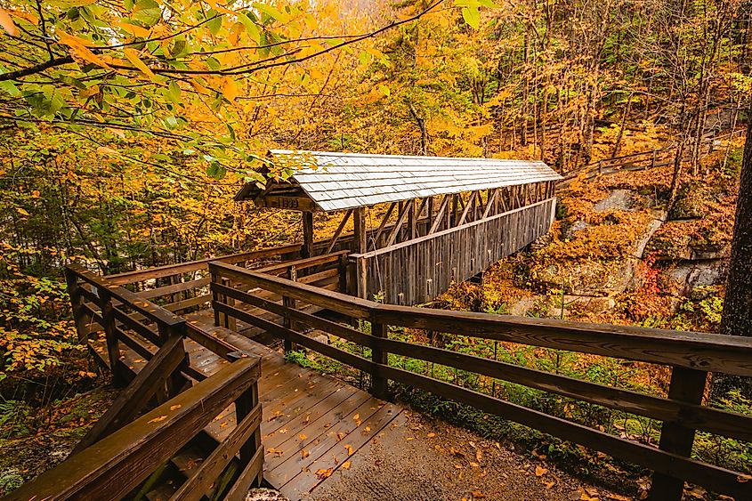 Autumn Color Forest Trail Covered Wooden Bridge for Pedestrians Flume Gorge Franconia Notch State Park.