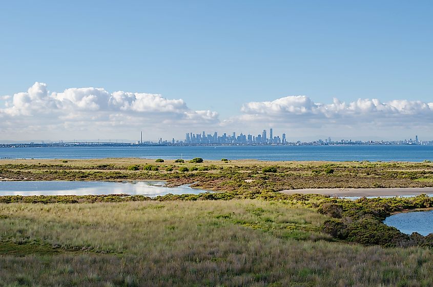 Beautiful view of the coastal wetland against the blue sea on the outskirt of Melbourne's urban area.