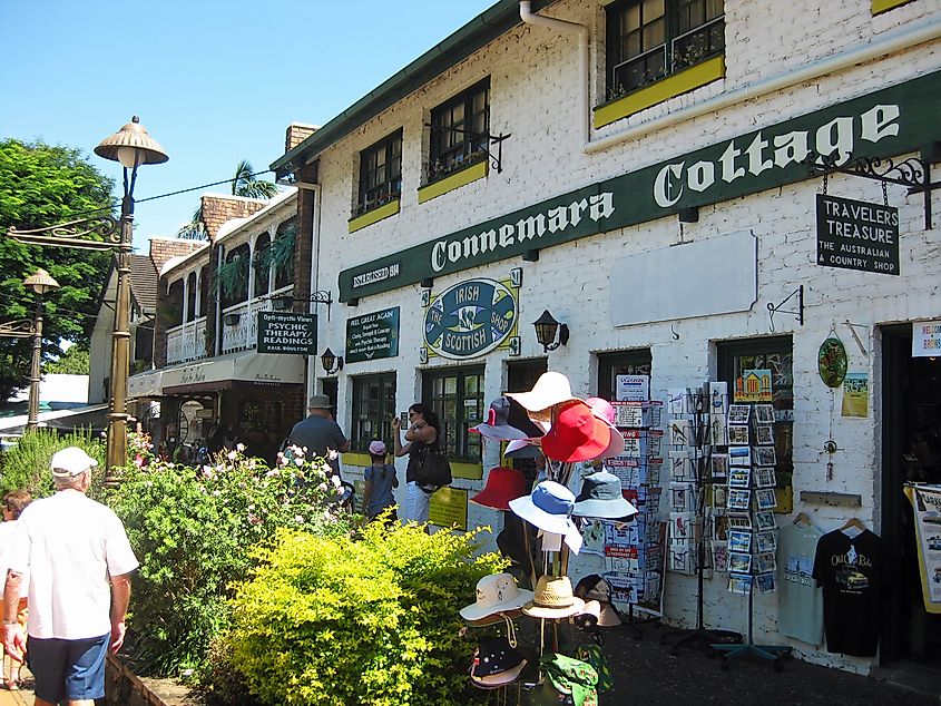 Montville, Queensland. In Wikipedia. https://en.wikipedia.org/wiki/Montville,_Queensland By S. Newrick - Own work, CC BY-SA 4.0, https://commons.wikimedia.org/w/index.php?curid=36266814