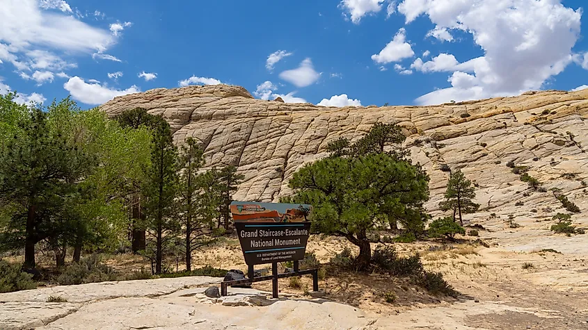 The Grand Staircase-Escalante National Monument in Utah.