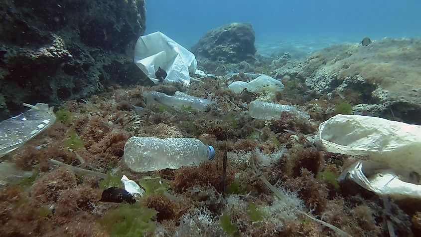 Plastic waste along the ocean floor.