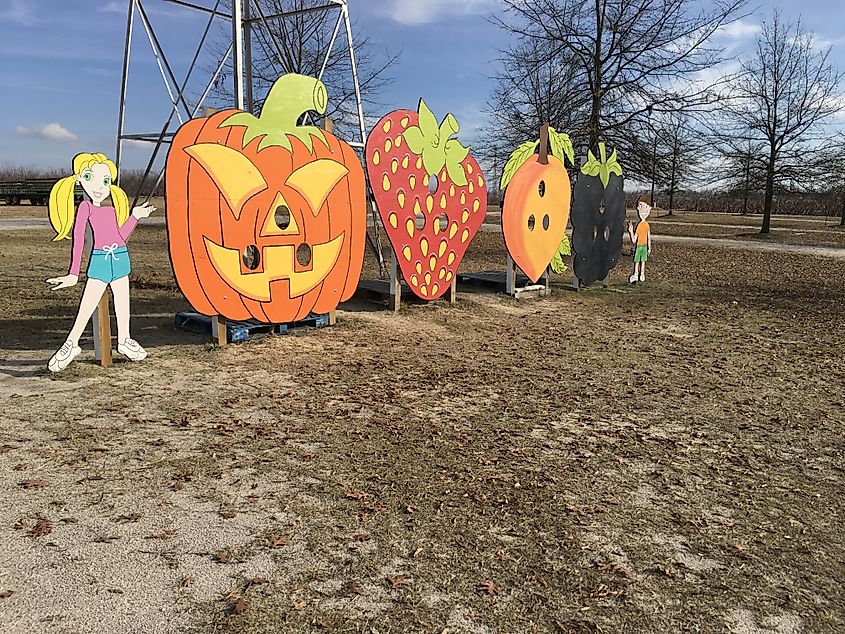 Oversized fruit display with face cutouts at McLeod Farms in McBee, South Carolina