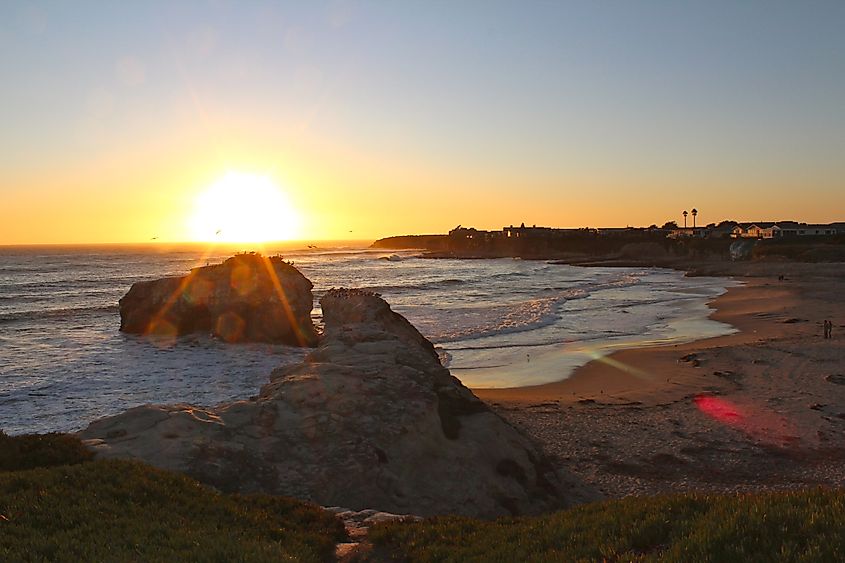 Natural Bridges State Beach