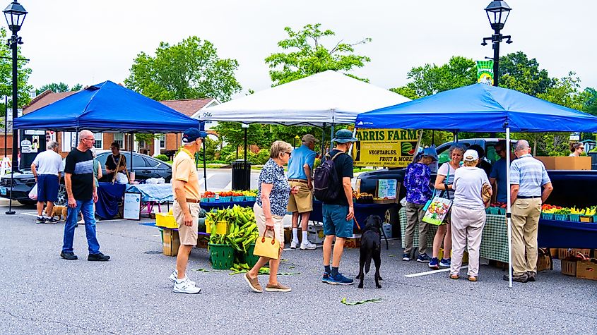 Easton Farmer's Market on a Saturday morning on Harrison Street in Easton, Maryland.