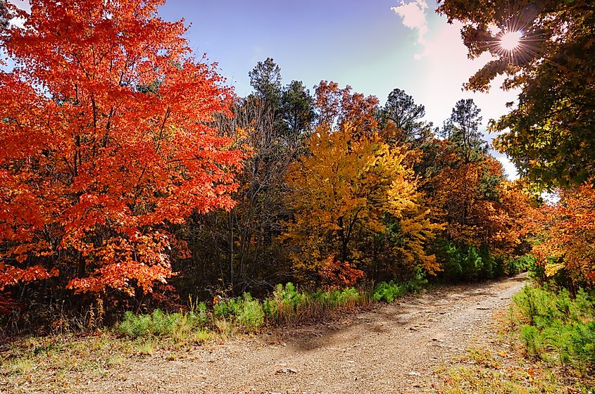 Fall in the Talimena Scenic Byway.