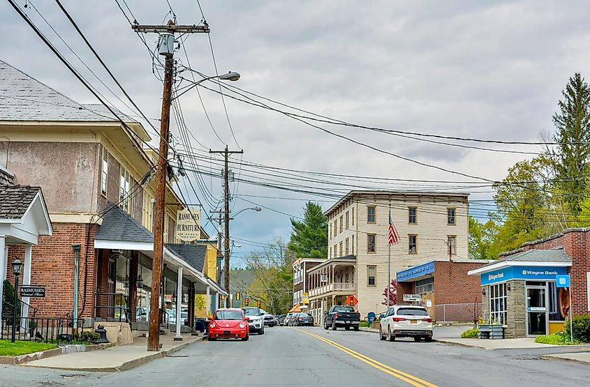 View of the Main Street in Narrowsburg, New York.