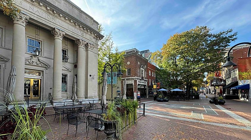 Charlottesville  Downtown Mall - Photo by Bryan Dearsley- 