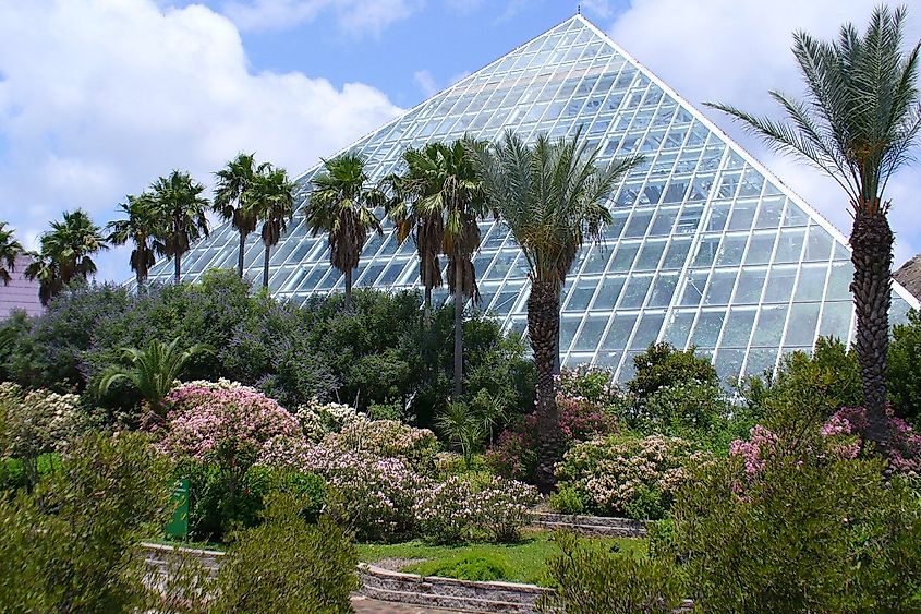 Glass pyramids in Moody Gardens, Galveston Island.