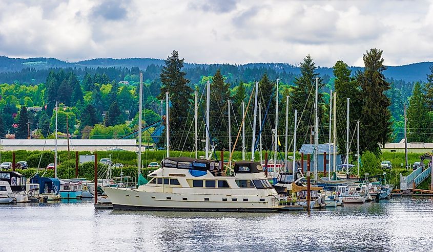 View of a marina full of boats, on the Multnomah Channel of the Willamette River near Portland, Oregon