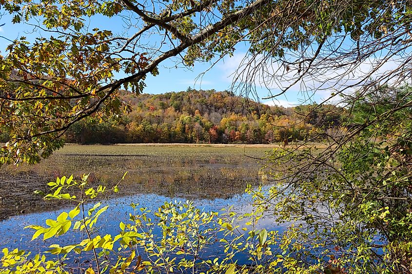 Lake Bomoseen, VT.