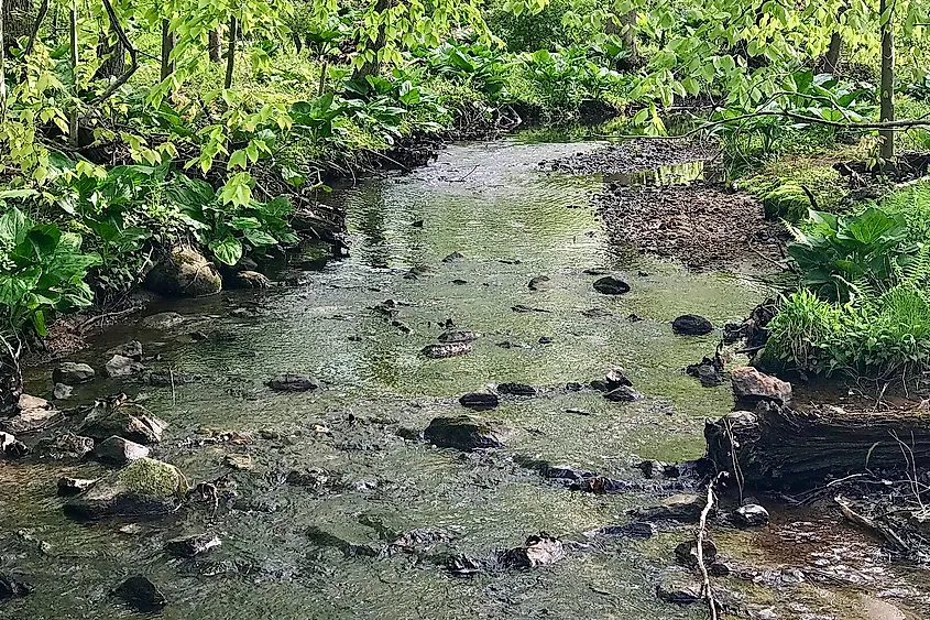 North Branch Raritan River near its source in Mendham Borough, New Jersey.