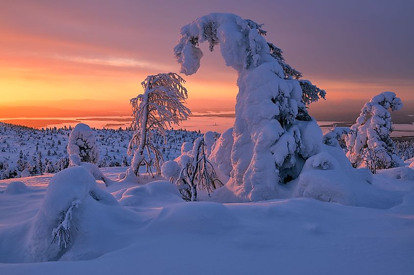 kola peninsula