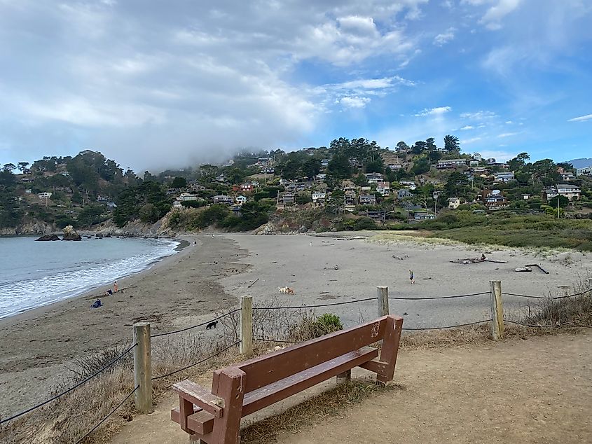 A wooden bench looks out over the modest but beautiful Muir Beach, and corresponding hillside community by the same name.