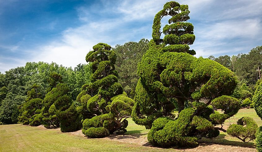 Pearl Fryer Topiary Garden in Bishopville, South Carolina