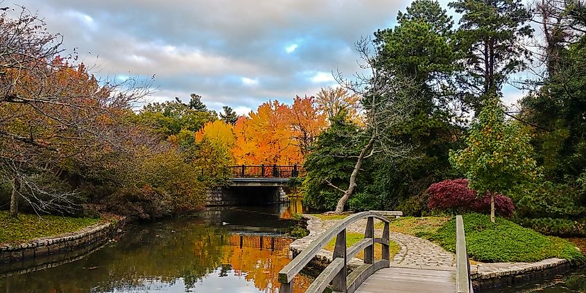 Japanese Garden in Providence, Rhode Island.