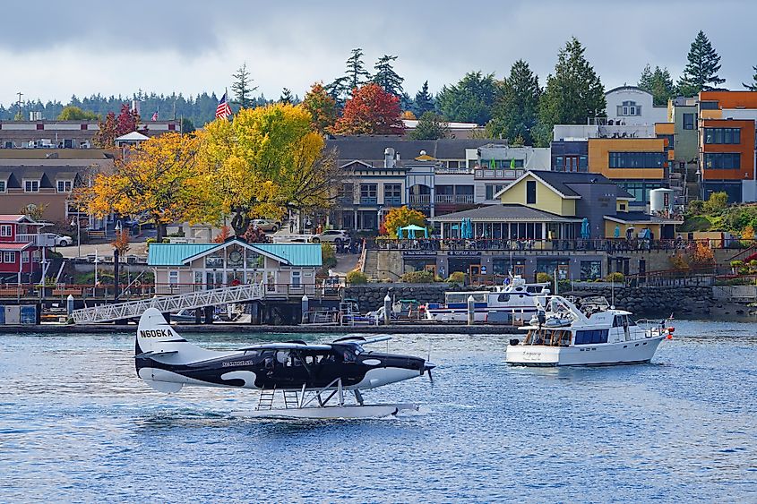 Kenmore Air floatplane painted as an orca in the port of Friday Harbor, Washington.