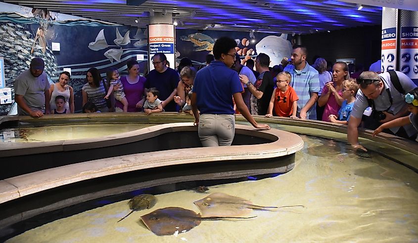 The National Aquarium at the Inner Harbor in Baltimore, Maryland.