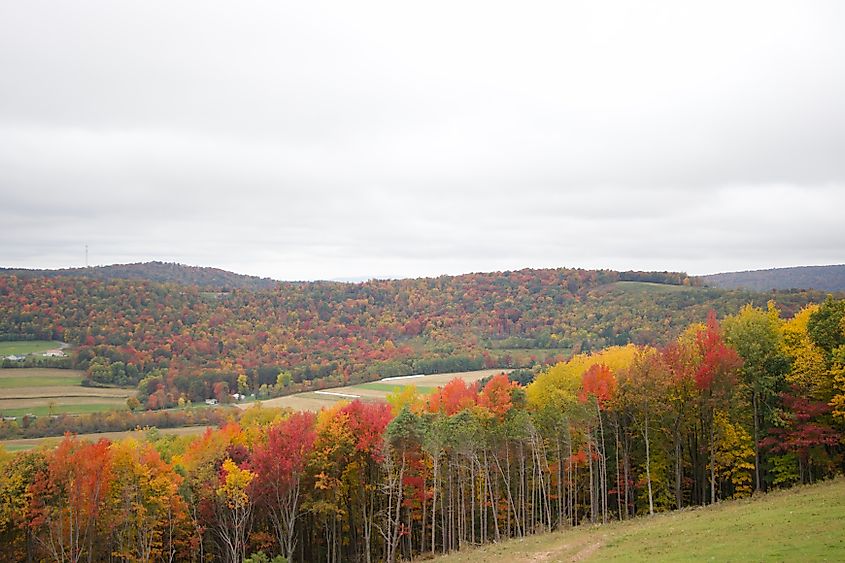 The fall countryside in Garrett County, Maryland.