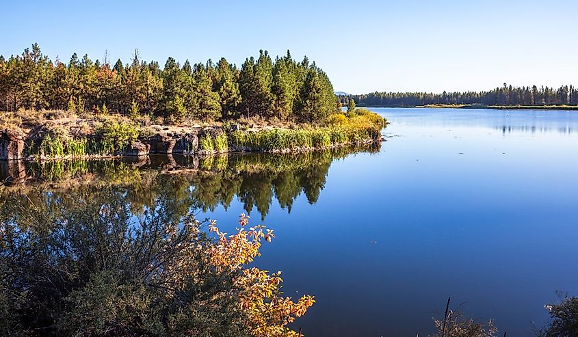 The Little Deschutes River in Crescent, Oregon