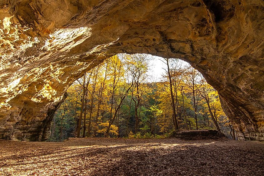 The Starved Rock State Park in Oglesby, Illinois.