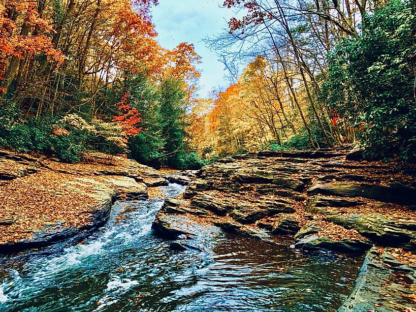 Ohiopyle State Park in Pennsylvania features stunning natural landscapes, including lush forests, waterfalls, and the Youghiogheny River, making it a popular destination for outdoor activities like hiking, whitewater rafting, and enjoying scenic views.