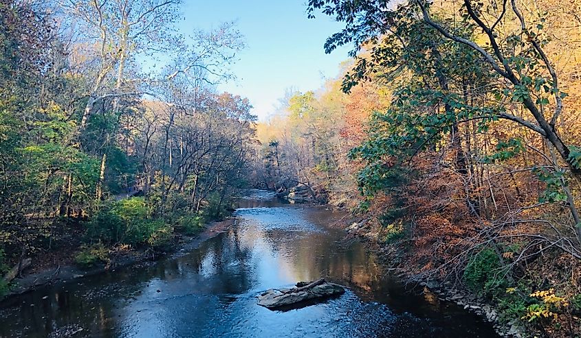 Fall colors at the Wissahickon Valley Park.