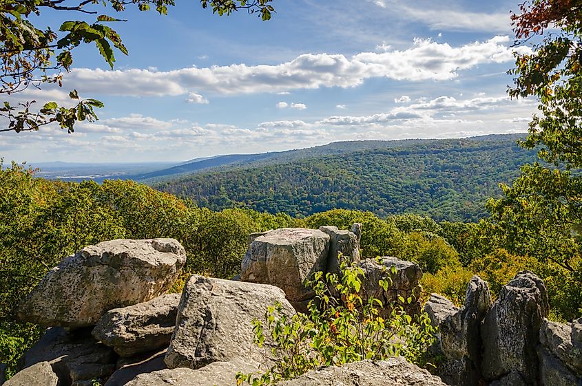 Landscape of the Catoctin Mountain Park, Maryland.